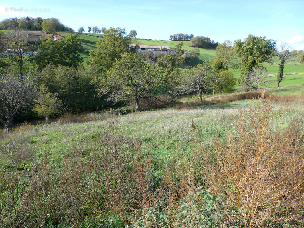Terrain à SAINT-LAURENT-DE-CHAMOUSSET