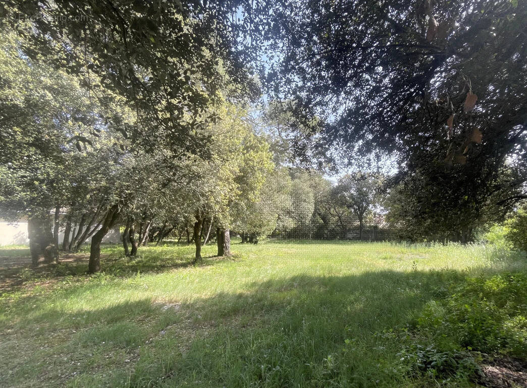 Terrain à CARCASSONNE