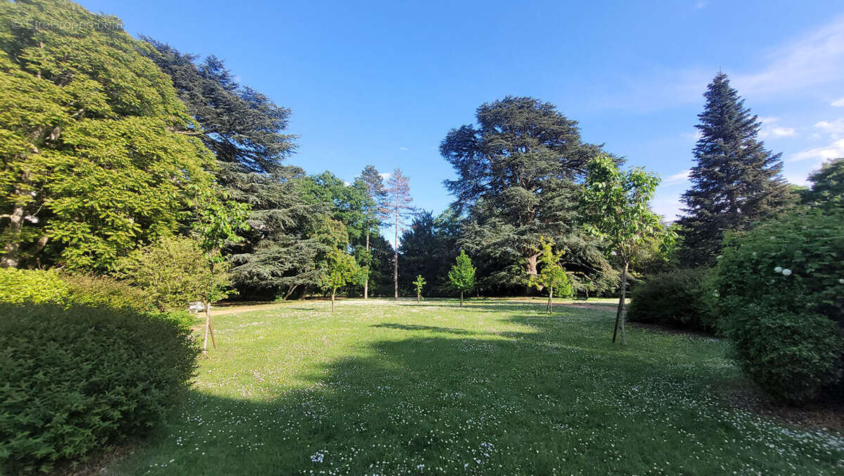 Appartement 99m² à joué-lès-tours - photo 15