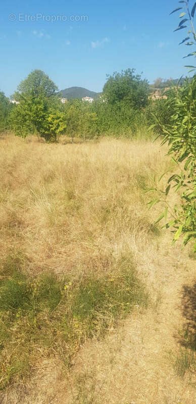 Terrain à SAINT-ZACHARIE