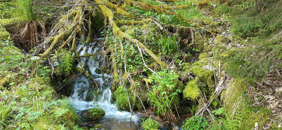 Terrain à GERARDMER