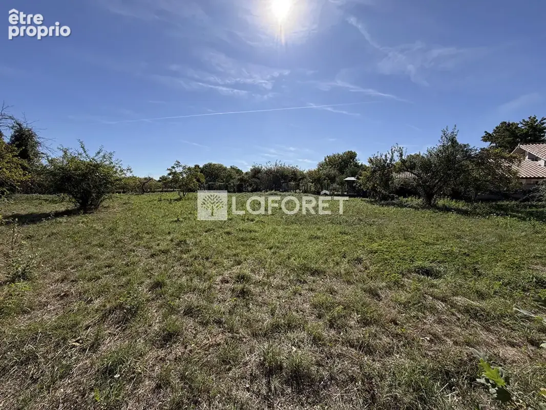 Montech, face au canal : une maison, un terrain de 4 699 m² et autant de projets que vous en imaginerez - photo 2