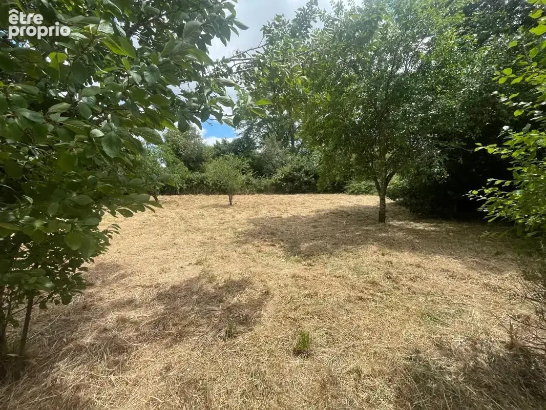 Maison de 7 pièces - Jardin  - Garage - photo 14
