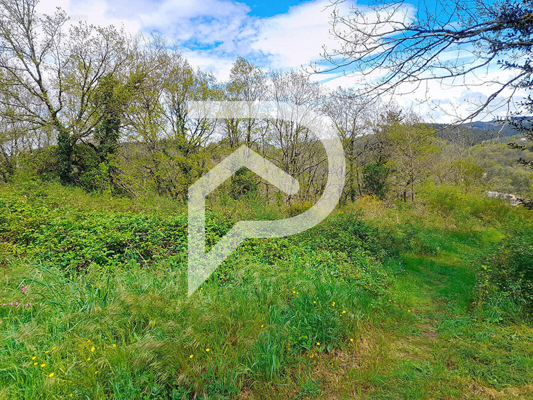 Terrain à BOISSEZON