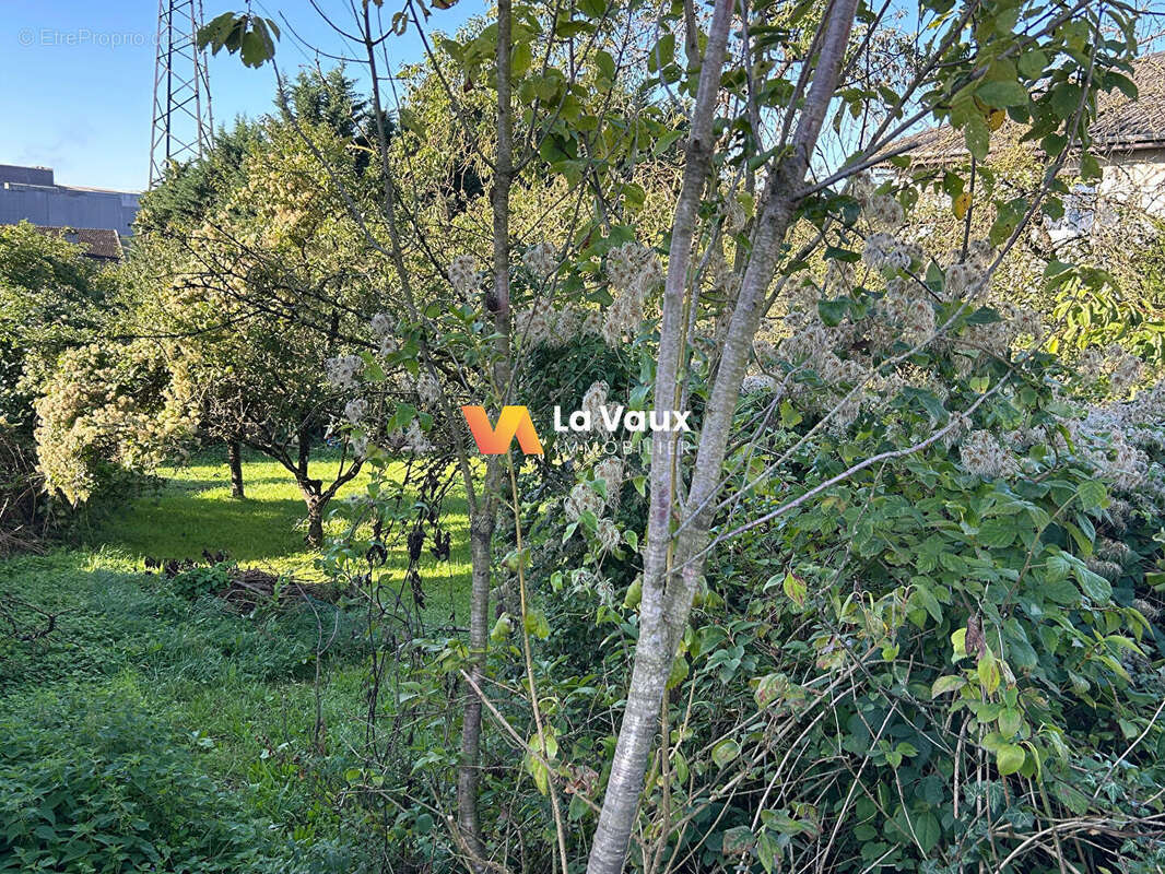 Terrain à NEUVES-MAISONS