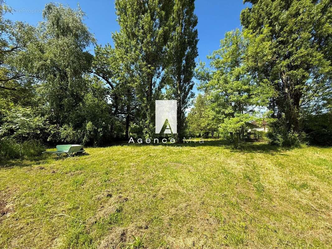 Saône-et-Loire  Domaine idéal pour activité d'hébergement - Proximité circuit de Bresse - photo 4