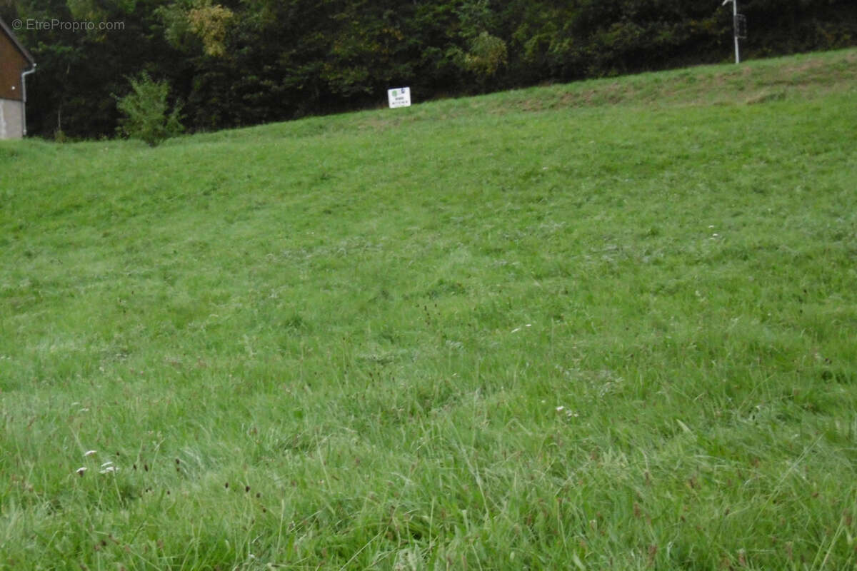 Terrain à SAINT-MARTIN