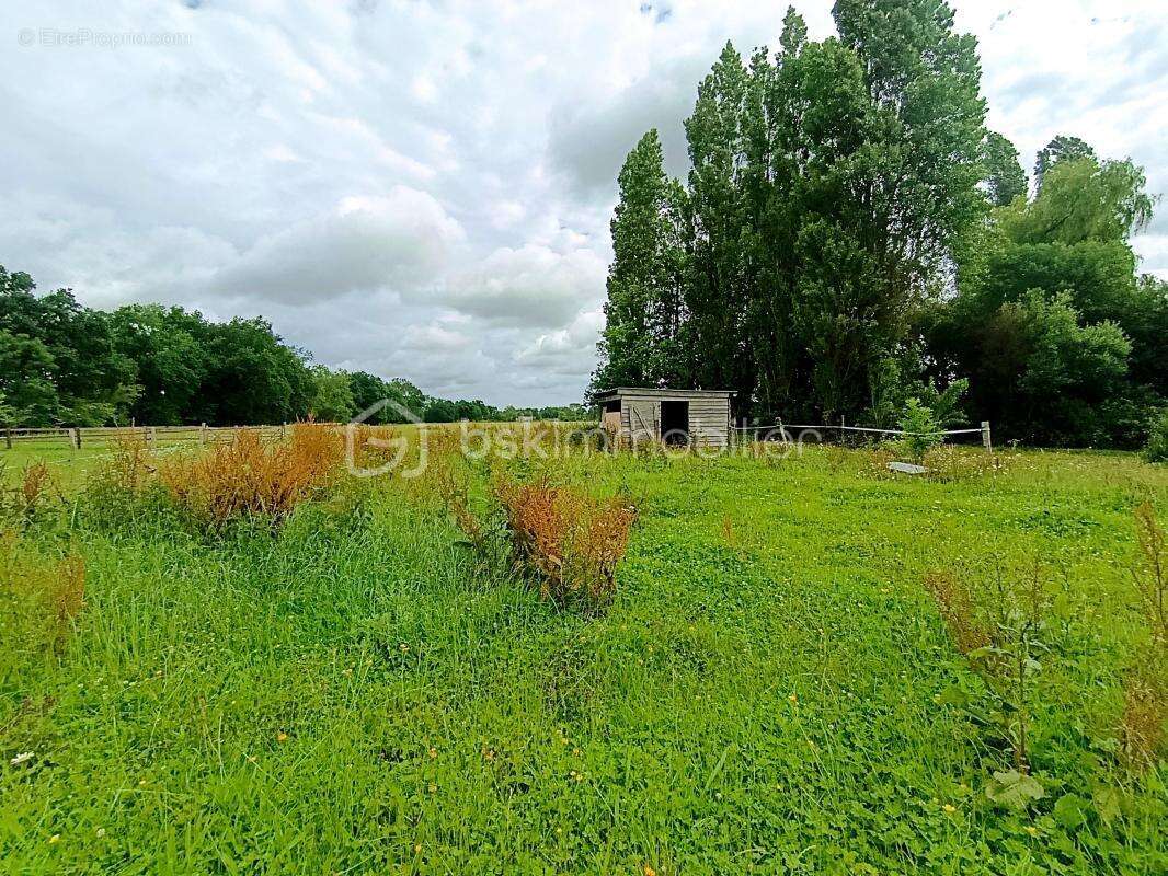 Maison familiale de 207 m² sur 7 120 m² de terrain – Calme absolu à Mandeville En Bessin - photo 18