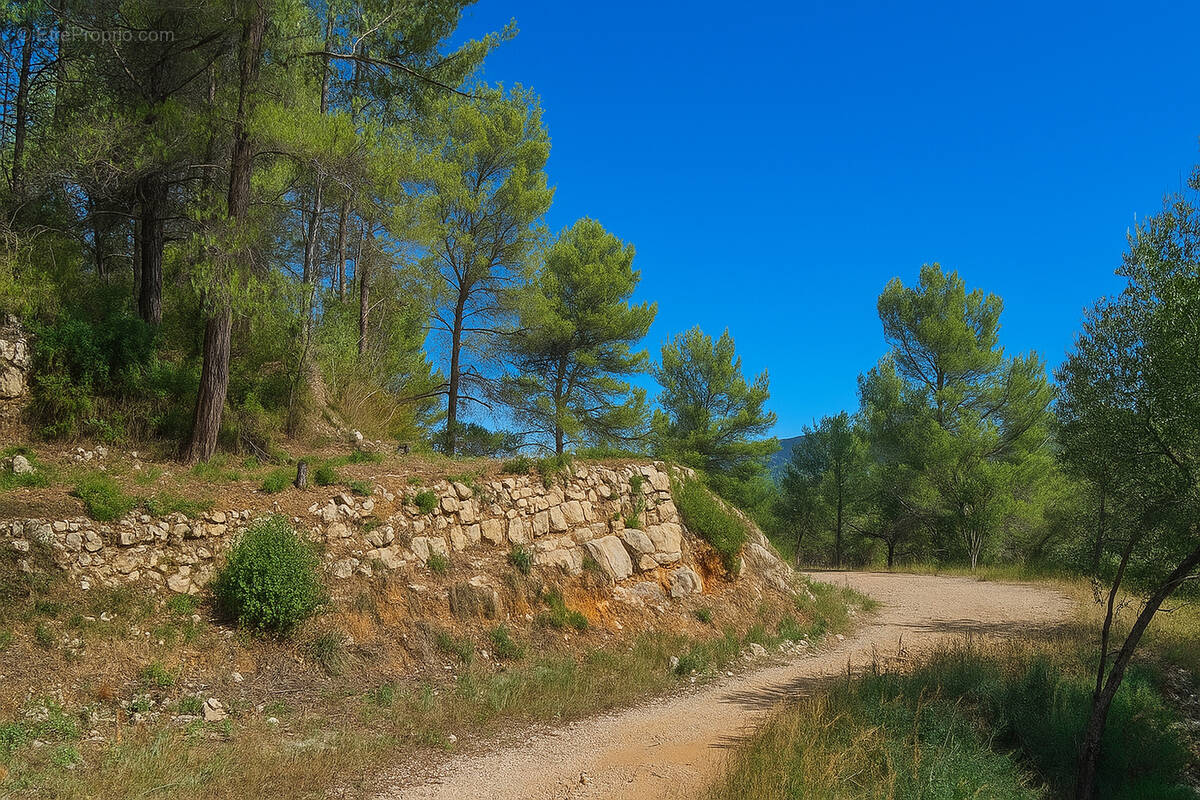 Terrain à SOLLIES-TOUCAS