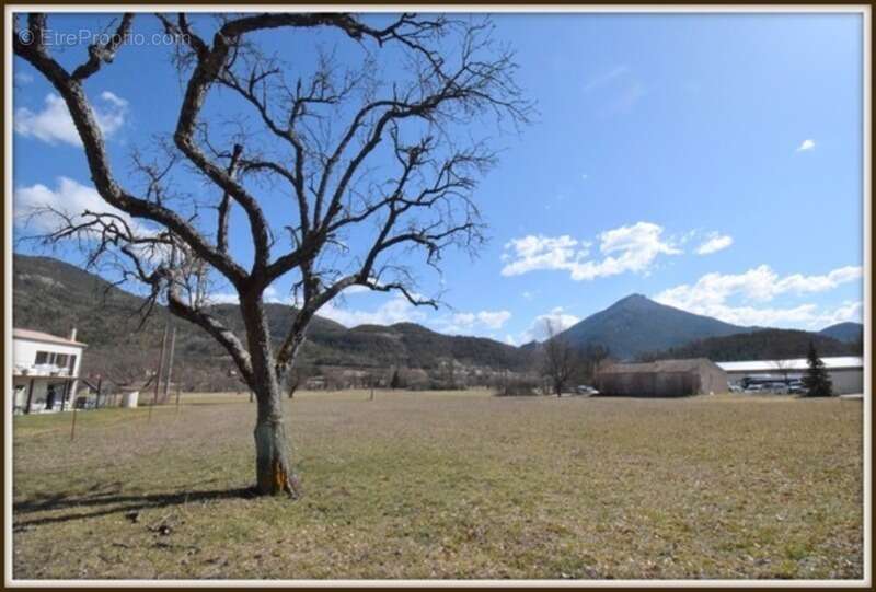 Terrain à bâtir pour hangar  CASTELLANE - photo 3