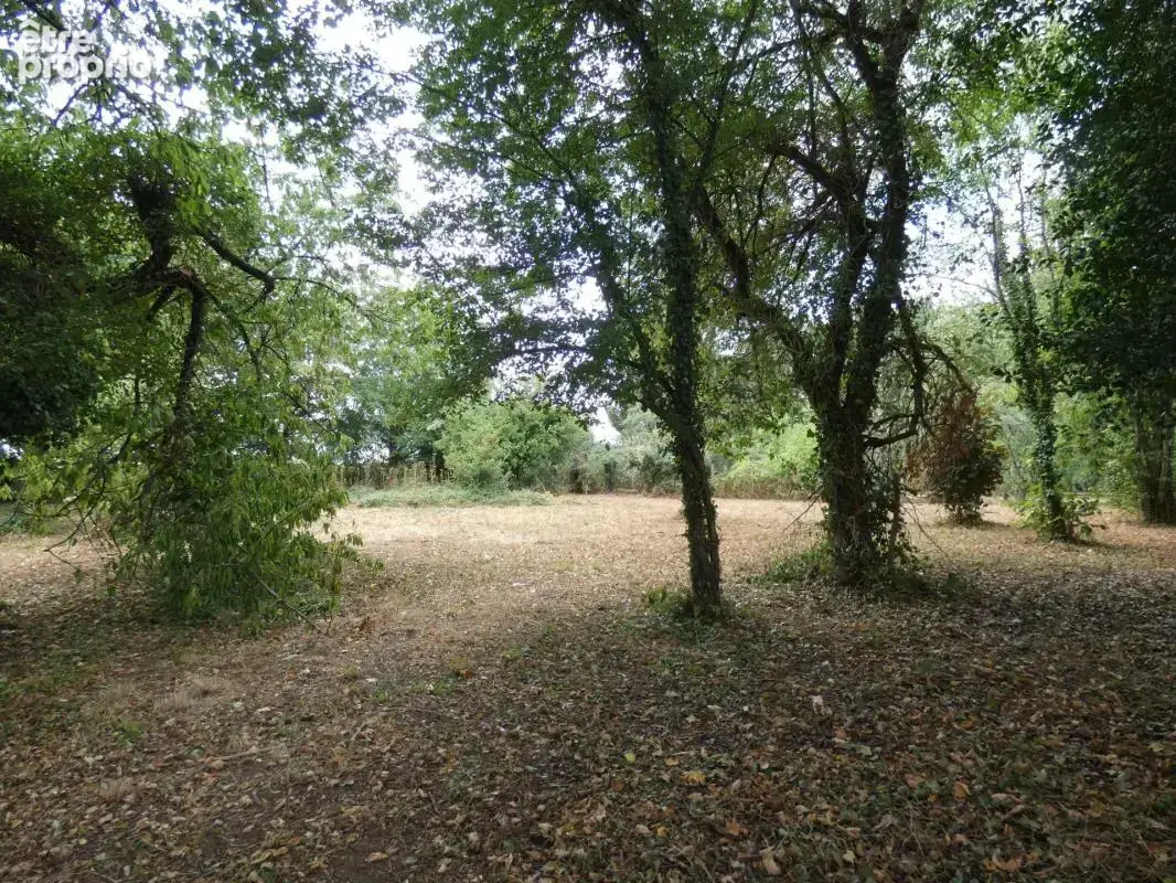 Terrain constructible 2613m2 à Pacé (9km d'Alençon) - photo 5