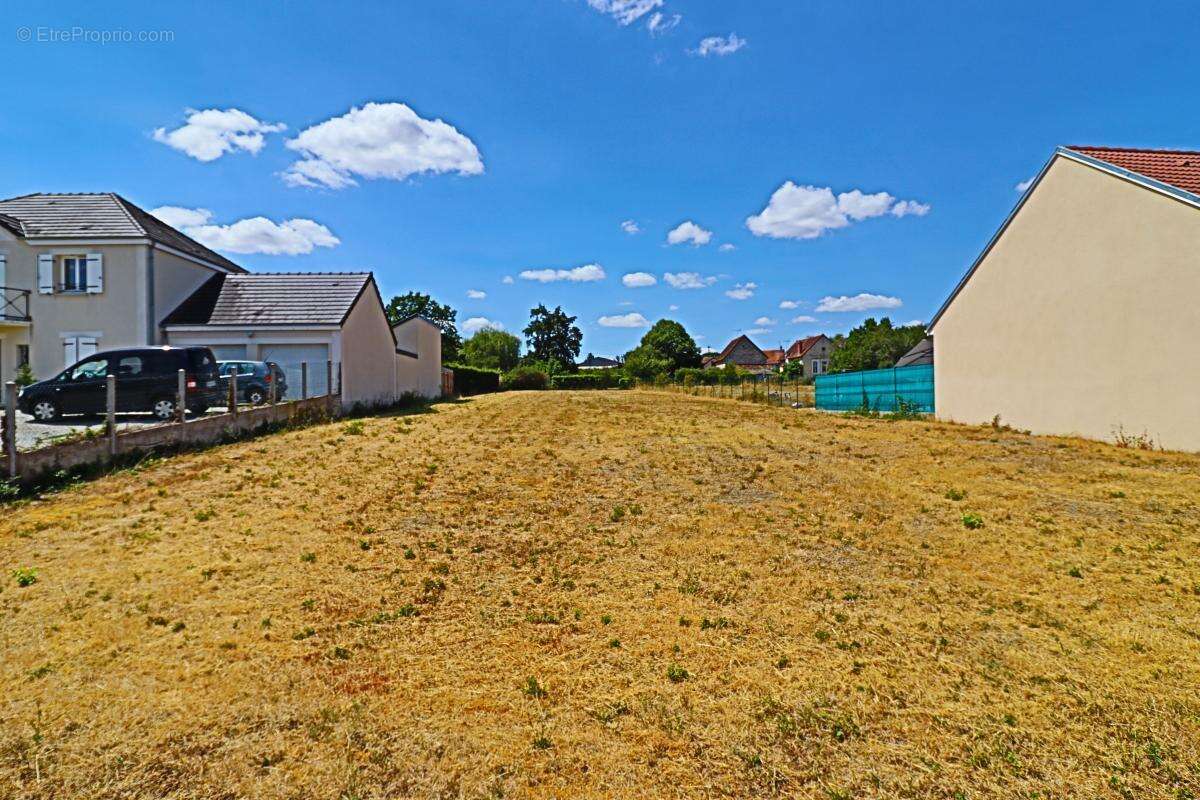 Terrain à bâtir exceptionnel de 1374 m² – Vue Vignobles & Val de Loire – Libre de constructeur - photo 4