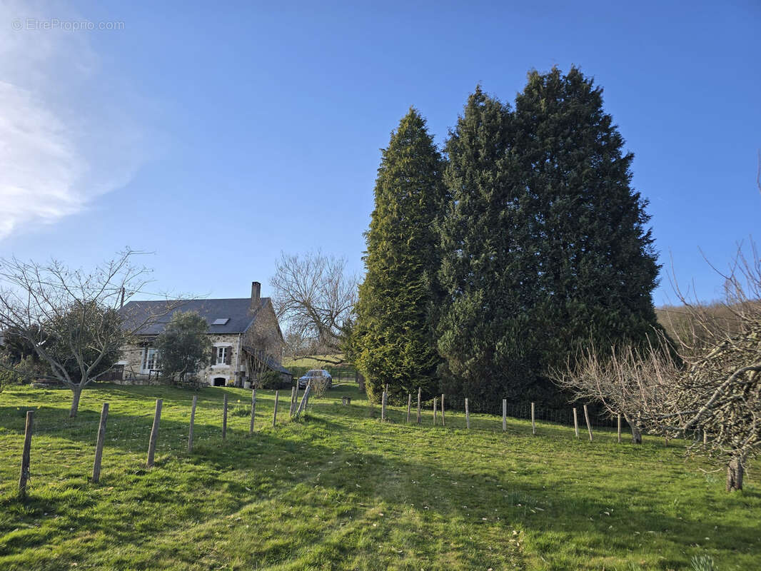Maison 110 m² à Ladignac-Le-Long  - photo 10