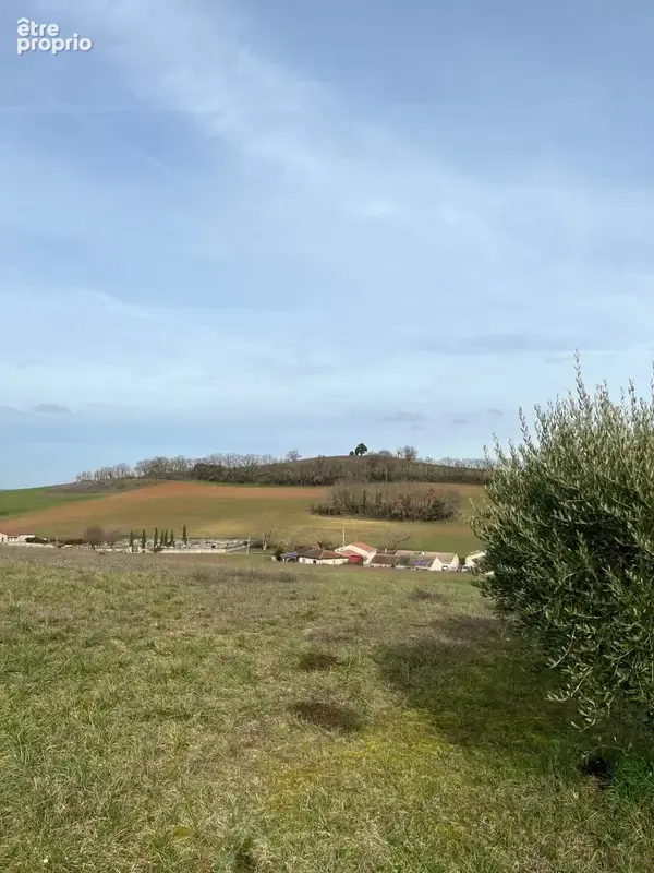 Terrain 541 m² à vendre à Carlus (81990) - photo 3