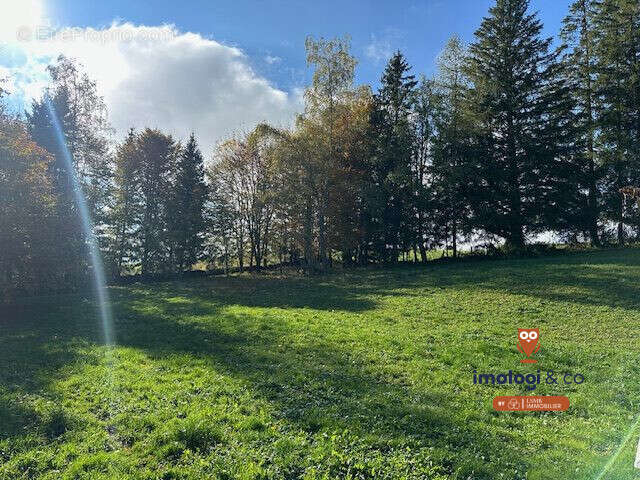 Maison à OYE-ET-PALLET