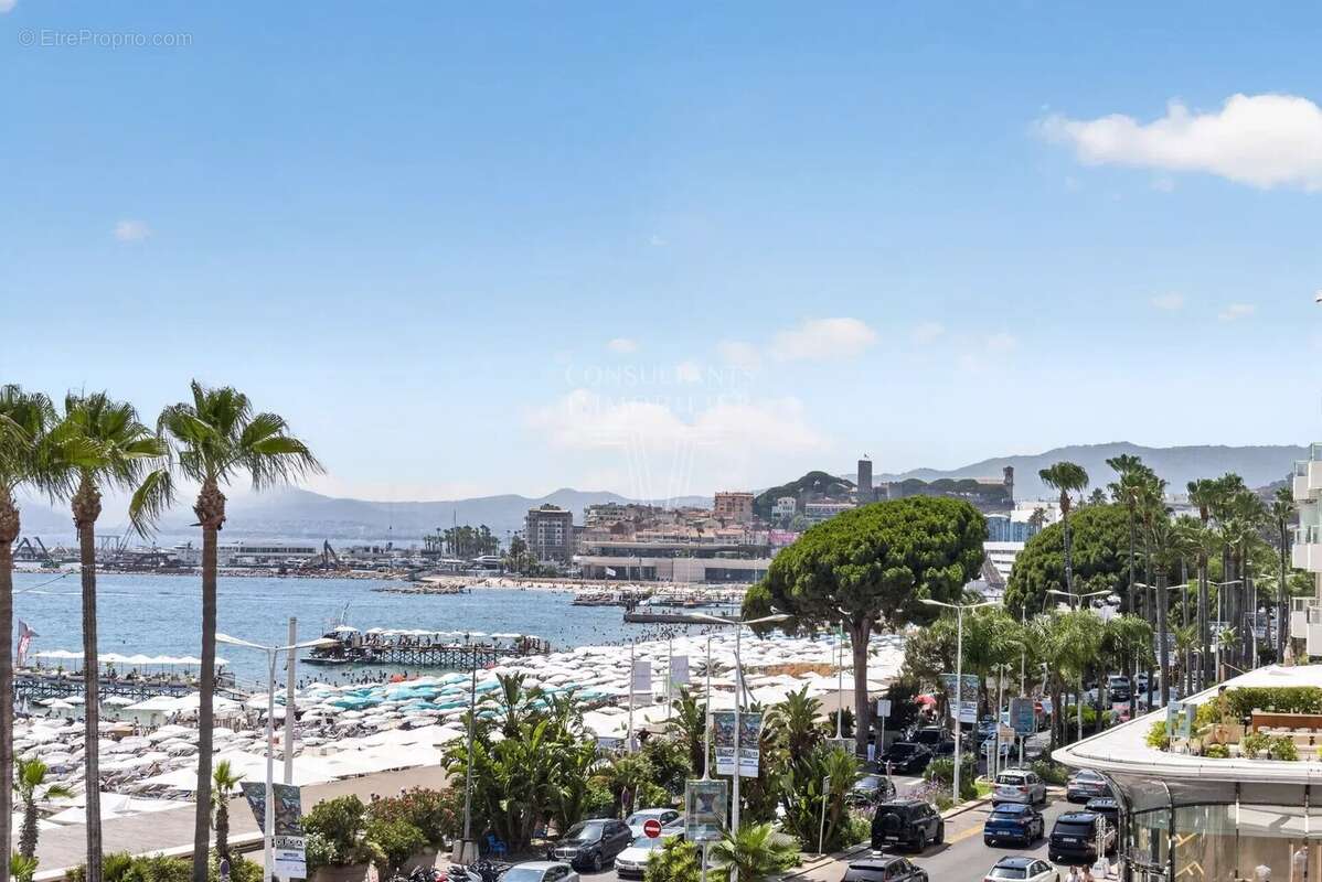 La croisette - superbe appartement/terrasse - photo 25