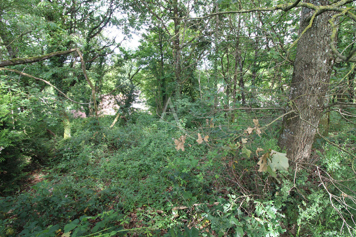 Terrain à BLERE