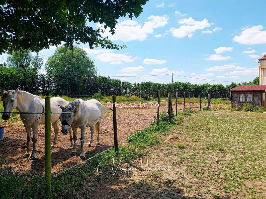 Maison à CHATEAUNEUF-EN-THYMERAIS