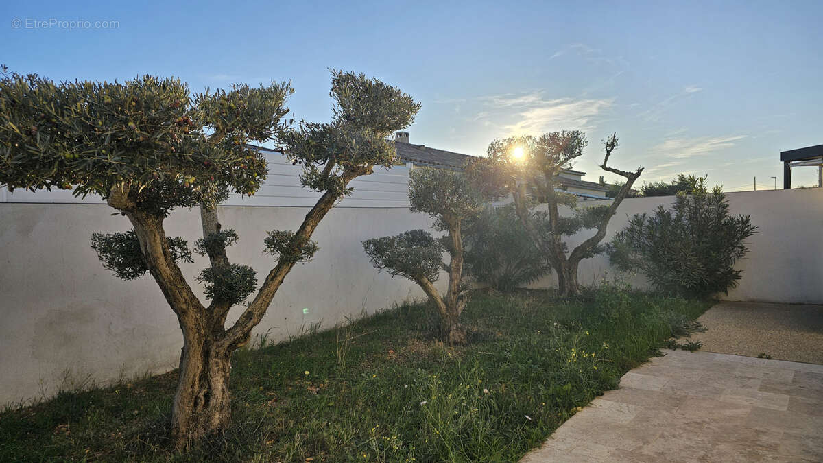 Maison à SAINT-GILLES