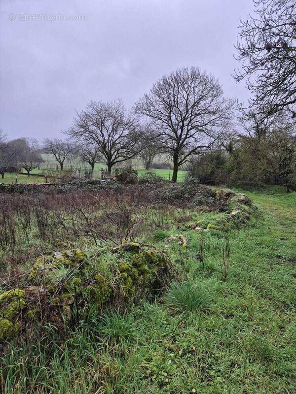Terrain à MAINE-DE-BOIXE