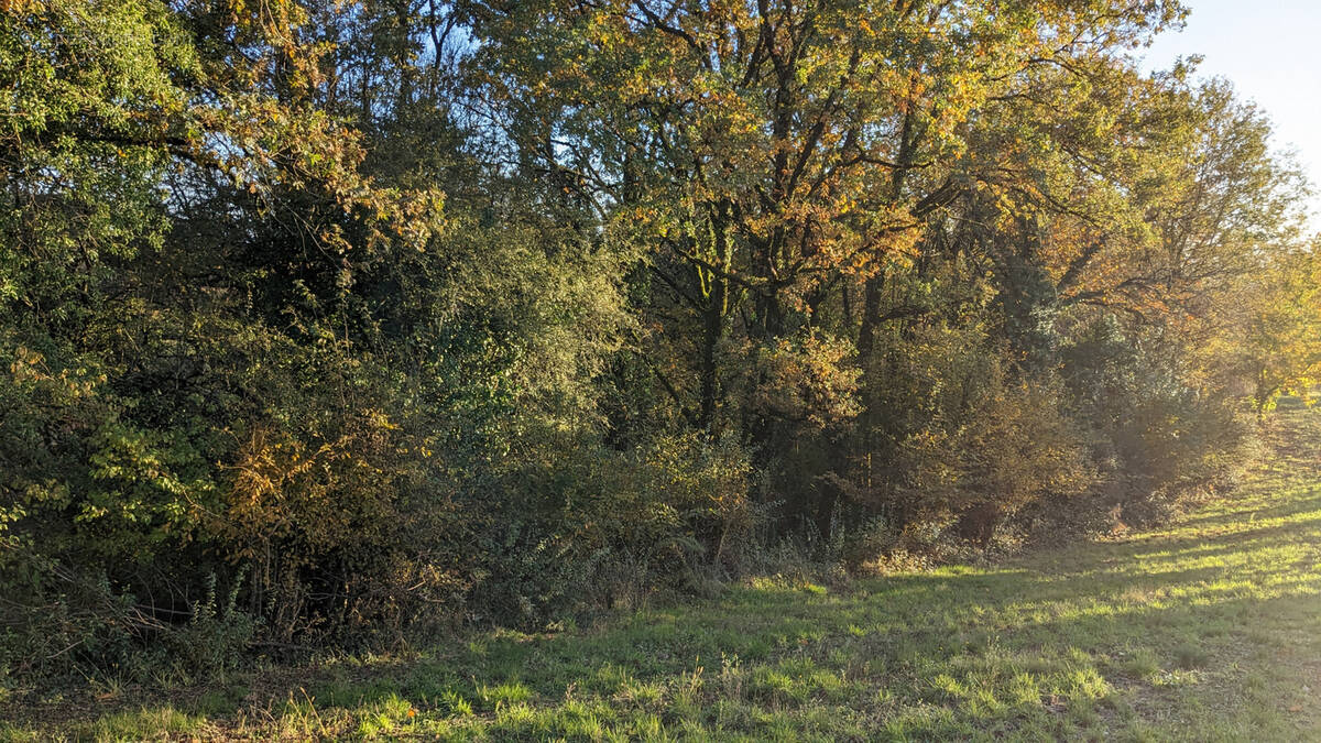 Terrain à SERILHAC