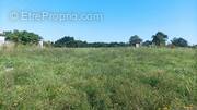 Terrain à ORADOUR-SUR-VAYRES