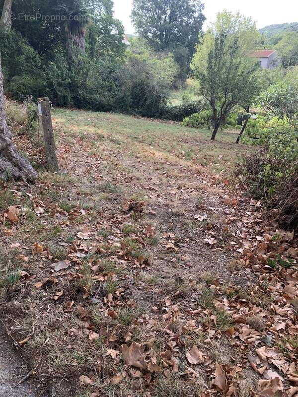 Terrain à CENNE-MONESTIES