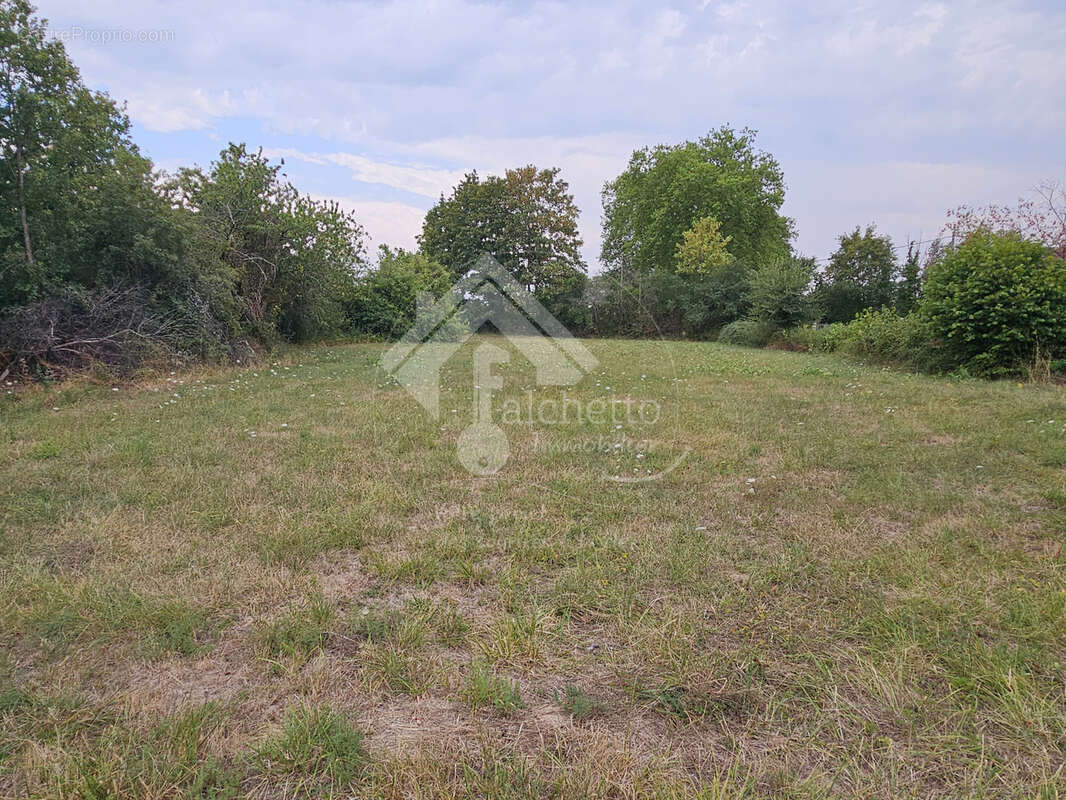 Terrain à Jaligny-sur-Besbre - photo 3