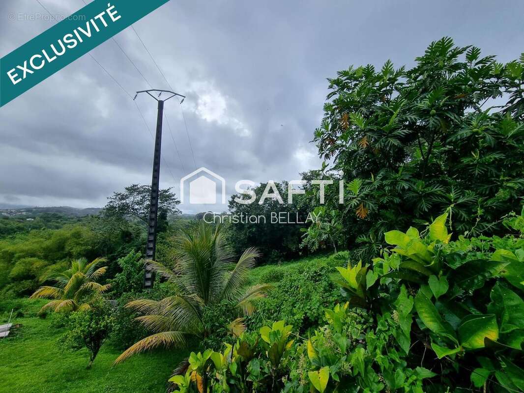 Photo 8 - Terrain à LE LAMENTIN