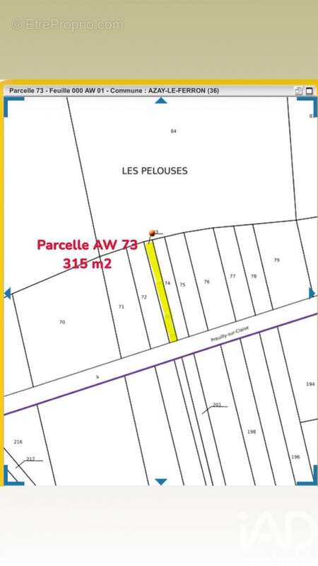 Photo 6 - Terrain à AZAY-LE-FERRON