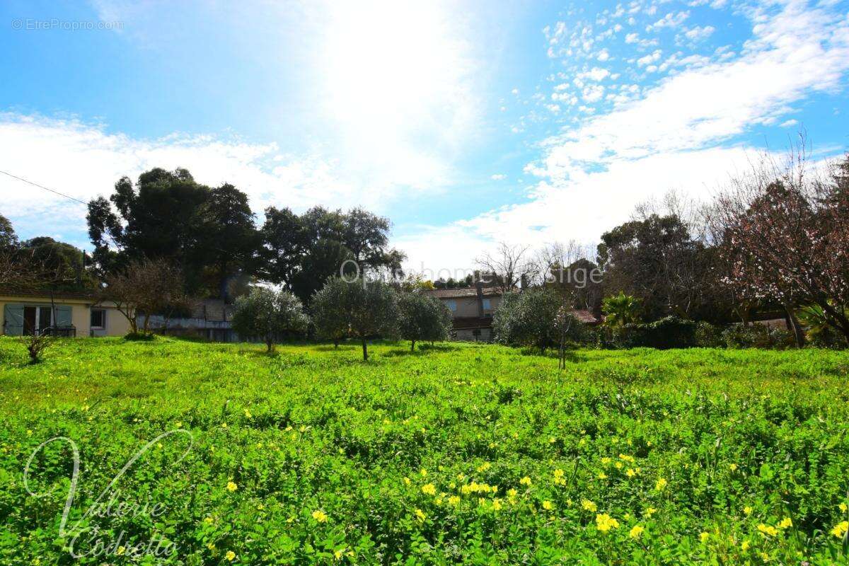 LE PRADET – LES OURSINIÈRES  Propriété 320 m² – 5 logements indépendants – Terrain 3 048 m² – Proche mer - photo 7