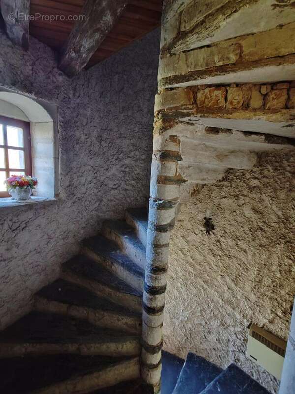 Photo 8 - Maison à ANGERS