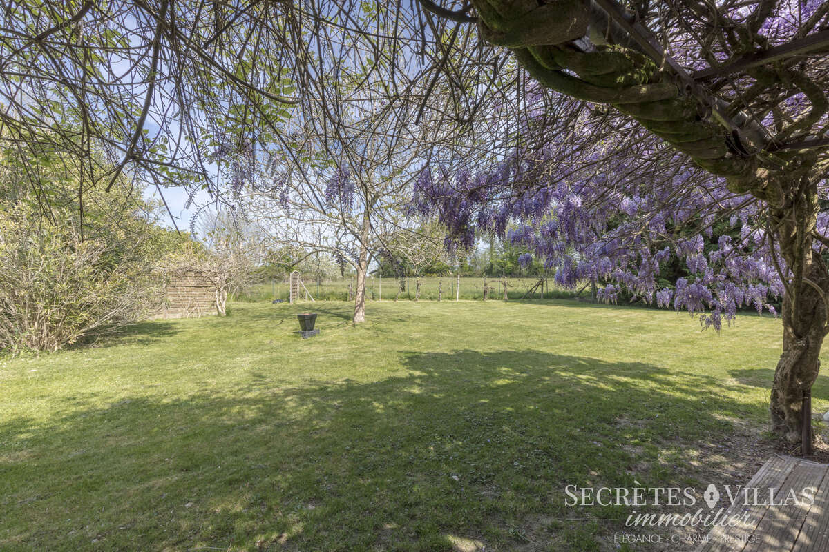 Carignan de bdx maison plain pied 226m2 sur 2725m2 et piscine - photo 2