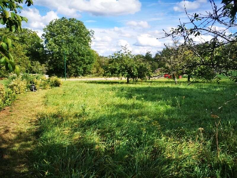 Terrain à GERBEVILLER