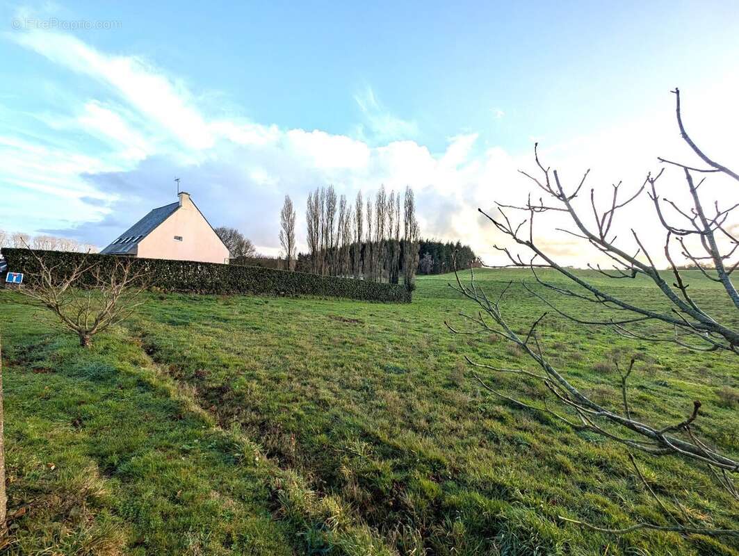 Propriété sur 27 hectares, maison 179 m2, bâtiments de 700 m2 salle de réception et 600 m2 garage - photo 31