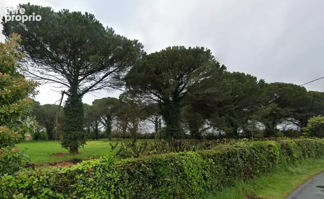 Terrain à SAINT-MAIXANT