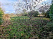 Terrain à BOISEMONT