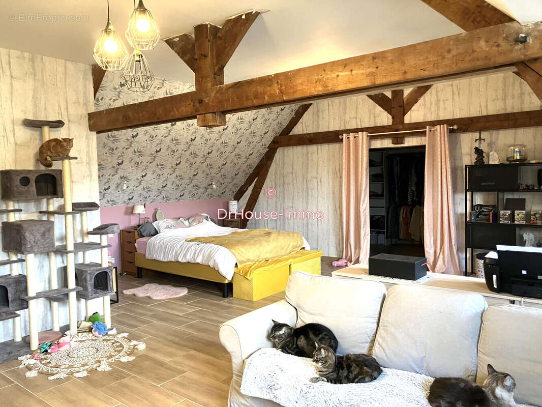Maison à TERRASSON-LAVILLEDIEU