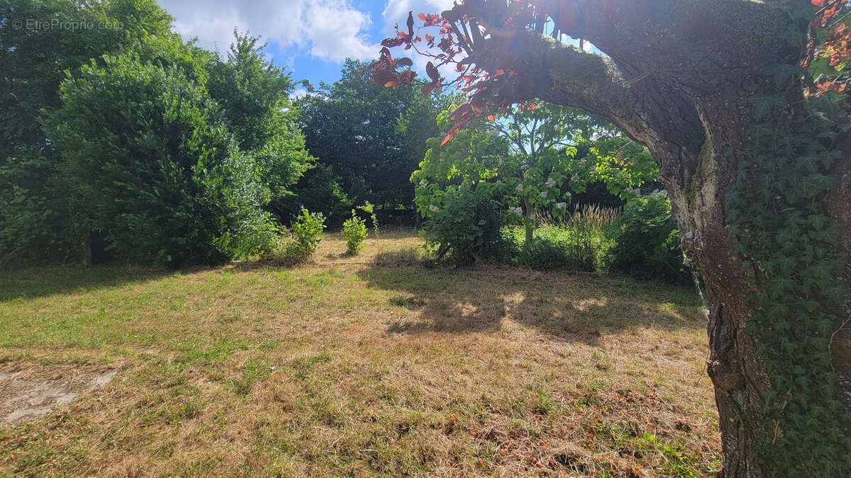 Maison à BRAY-SUR-SEINE