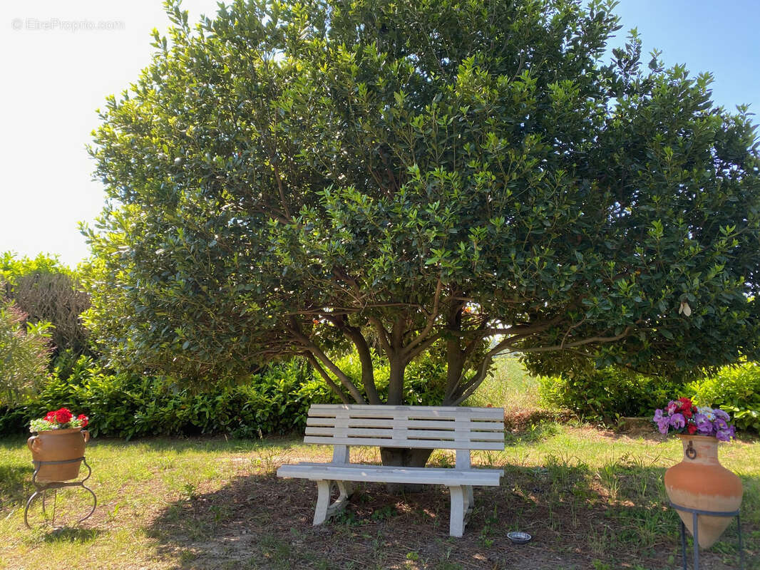 Maison à CADEROUSSE