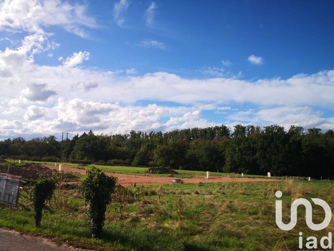 Photo 1 - Terrain à PARIGNY