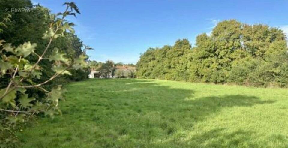 Terrain à FONTENAY-AUX-ROSES