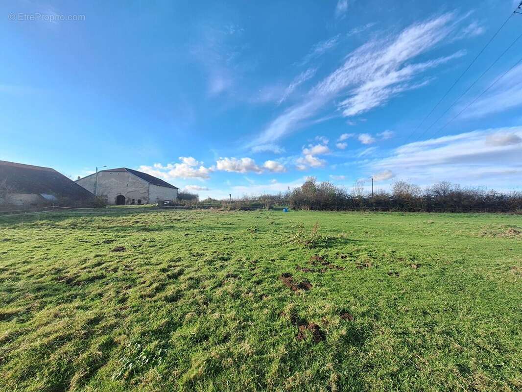 Terrain à GORHEY