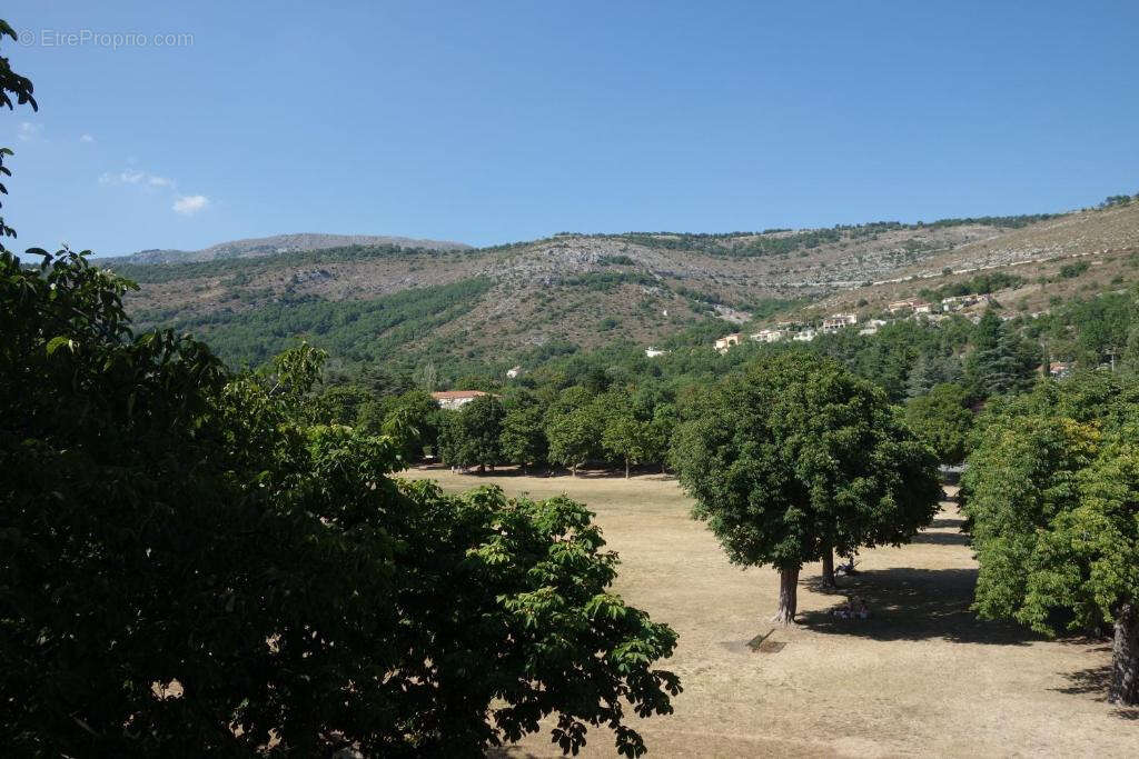 Commerce à SAINT-VALLIER-DE-THIEY