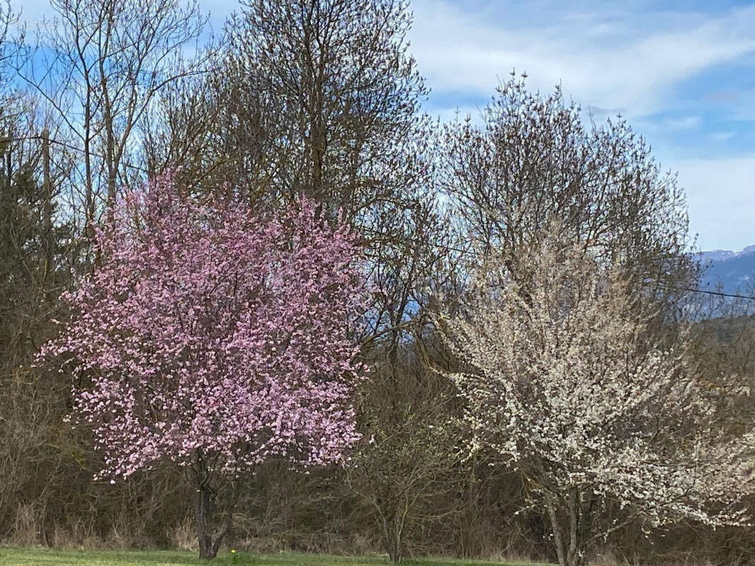 Maison à MONTLAUR-EN-DIOIS