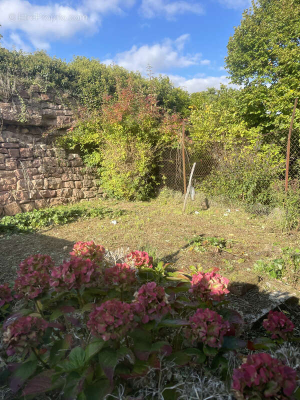 Maison à WESTHOFFEN