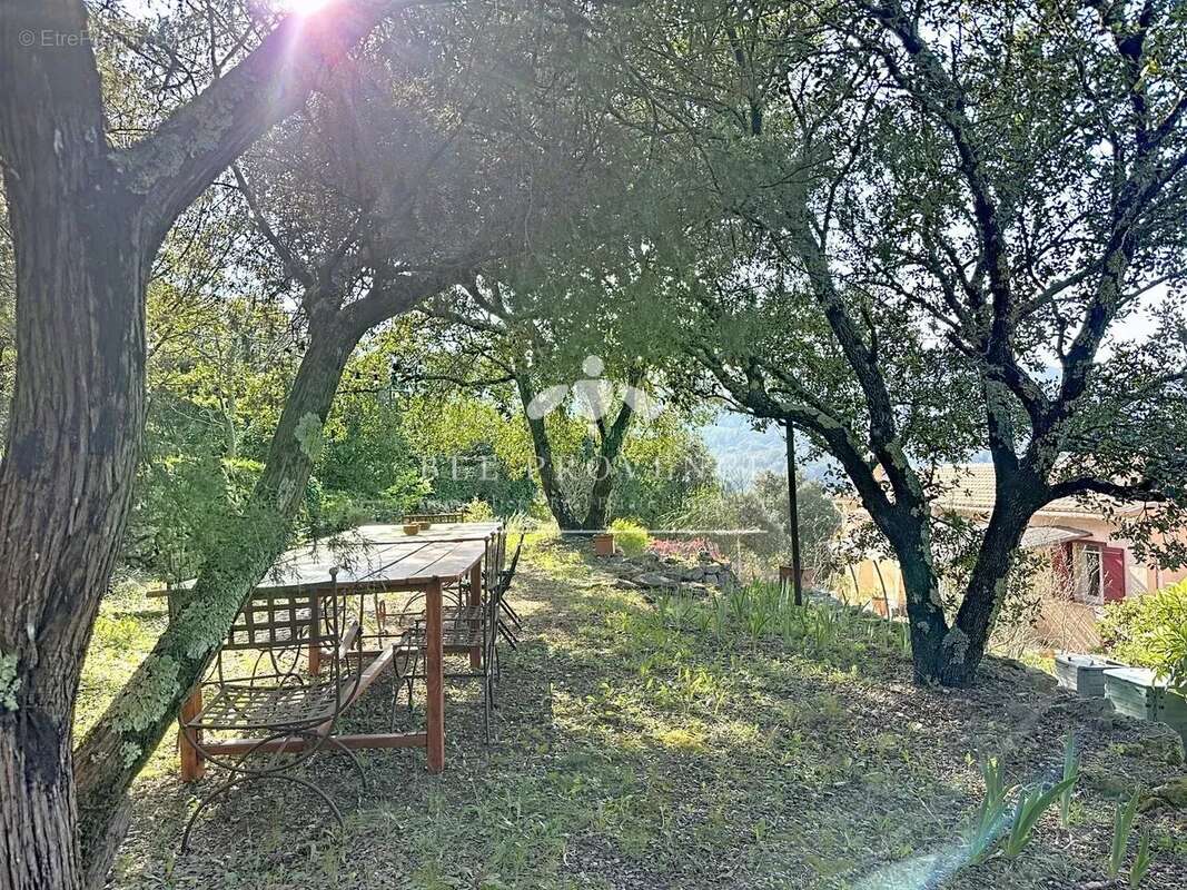 Maison à SOLLIES-TOUCAS