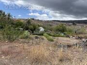 Terrain à SAINT-PAUL