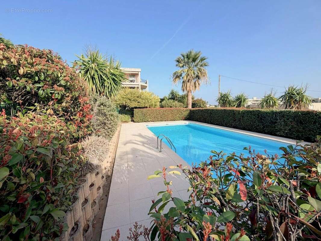   - Appartement à SAINT-LAURENT-DU-VAR