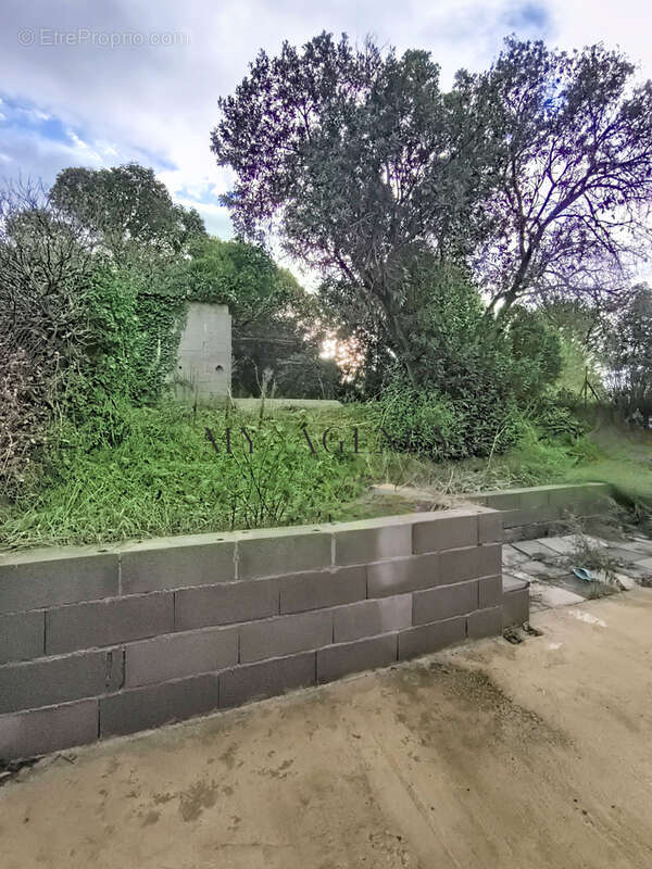 Maison à SAINT-ANDRE-DE-SANGONIS